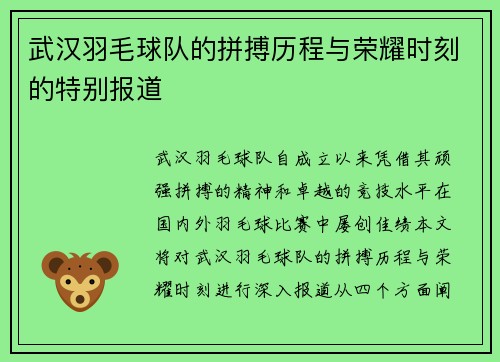 武汉羽毛球队的拼搏历程与荣耀时刻的特别报道 武汉羽毛球队的拼搏历程与荣耀时刻的特别报道